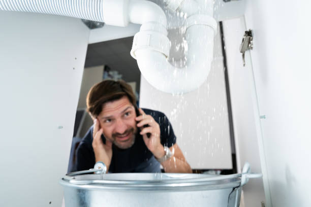 Best Faucet Repair  in Moweaqua, IL