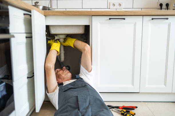 Best Clogged Drain Plumber  in Moweaqua, IL
